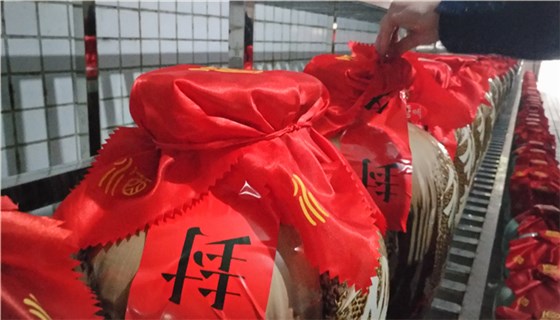 各類封壇分區(qū) 各類封壇分區(qū)