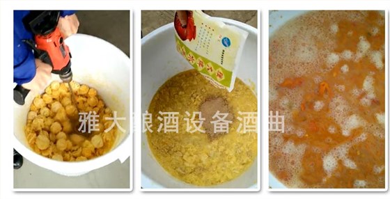 雅大技術研發(fā)團隊分多種工藝發(fā)酵 雅大技術研發(fā)團隊分多種工藝發(fā)酵