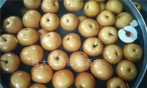 6-幾張圖帶您親臨雅大釀酒設(shè)備梨子酒實操教學現(xiàn)場-梨子釀酒方法1 6-幾張圖帶您親臨雅大釀酒設(shè)備梨子酒實操教學現(xiàn)場-梨子釀酒方法1