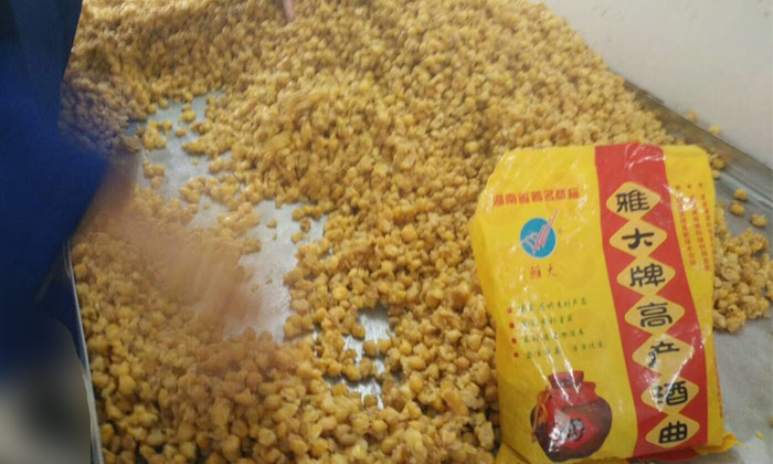 30-玉米釀酒2 30-玉米釀酒2