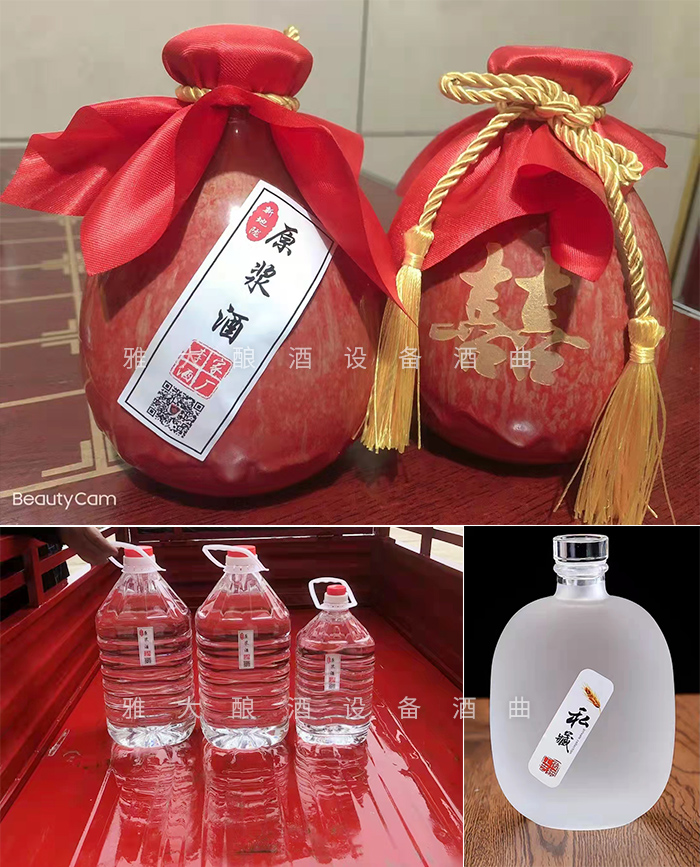 12.18致富新模式，用烤酒設(shè)備蒸酒后的酒糟飼養(yǎng)肉牛成本低，效益高-瓶裝酒
